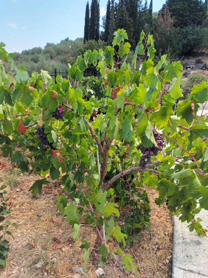 Οίνου Γη Ιθάκη - Winelandithaca Villa Perachori Exterior photo