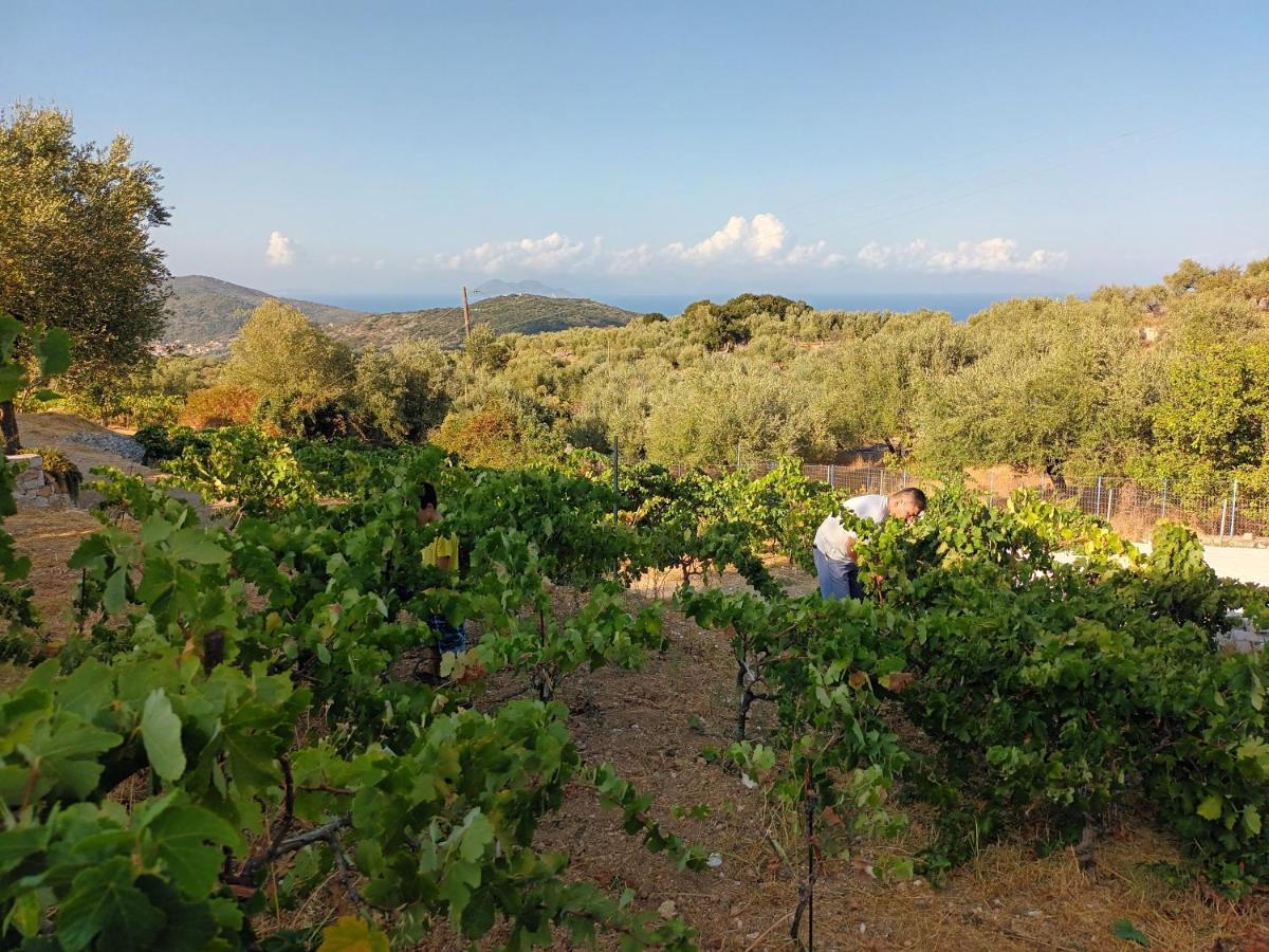 Οίνου Γη Ιθάκη - Winelandithaca Villa Perachori Exterior photo